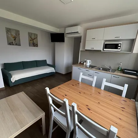 Apartment Apartamenty Zator20 2 Min Od Energylandii